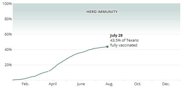 Percent of Texans fully vaccinated
Health experts estimate 75% to 90% of Texans need to achieve immunity to COVID-19 to reach herd immunity. As of July 28, about 43.5% of Texas’ 29 million people have been fully vaccinated. One obstacle is vaccines are not approved for children under 12, who make up about 17% of the population.